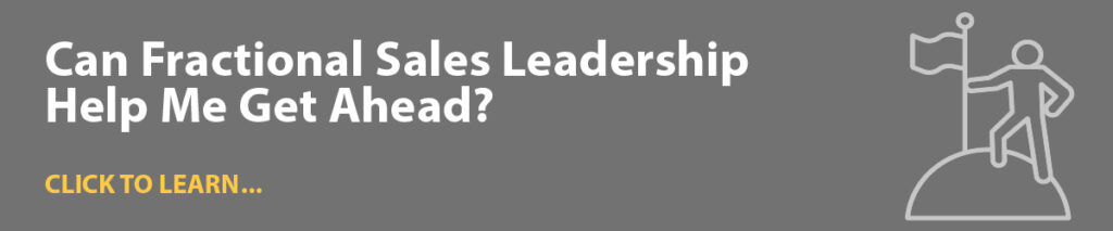 Can Fractional Sales Leadership Help Me Get Ahead?